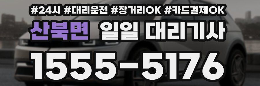 산북면 일일 대리기사