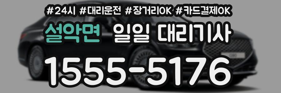 설악면 일일 대리기사