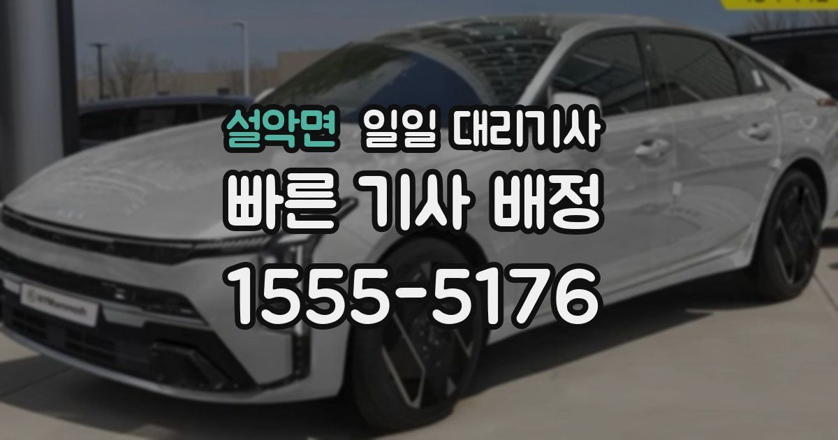 설악면 일일 대리기사