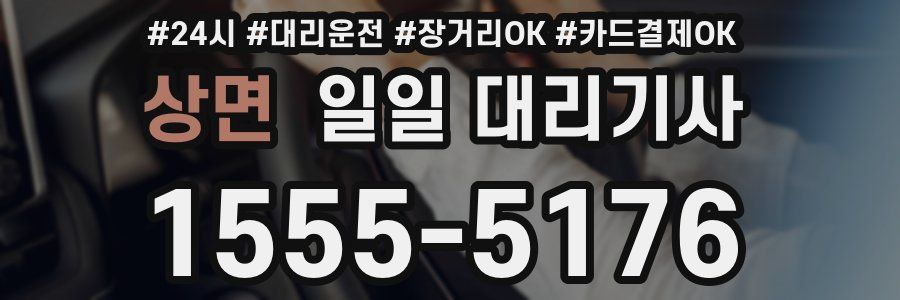 상면 일일 대리기사
