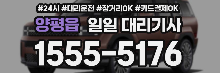 양평읍 일일 대리기사