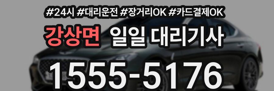 강상면 일일 대리기사