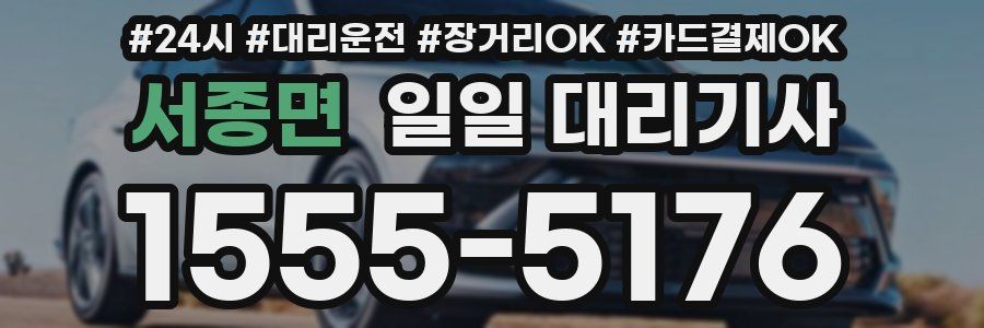 서종면 일일 대리기사