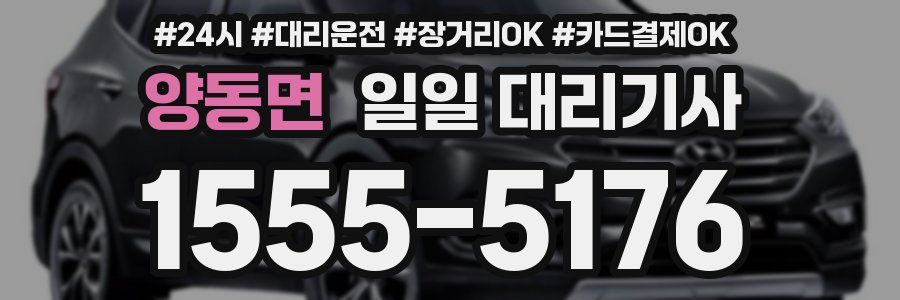 양동면 일일 대리기사