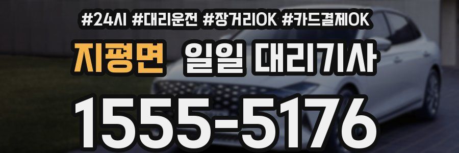지평면 일일 대리기사