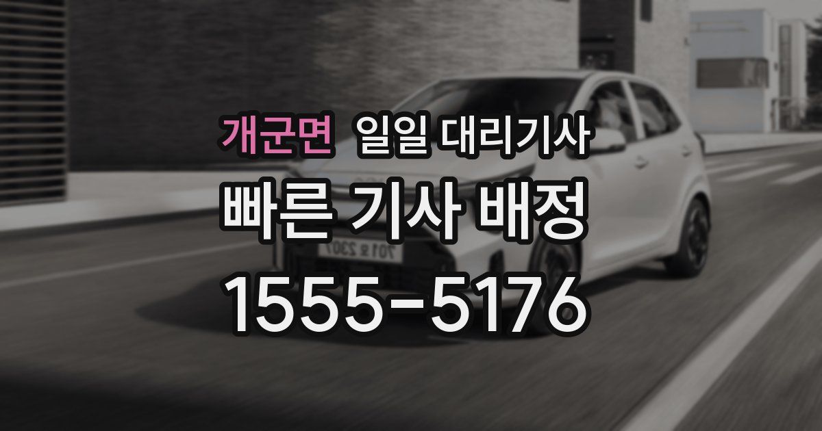 개군면 일일 대리기사