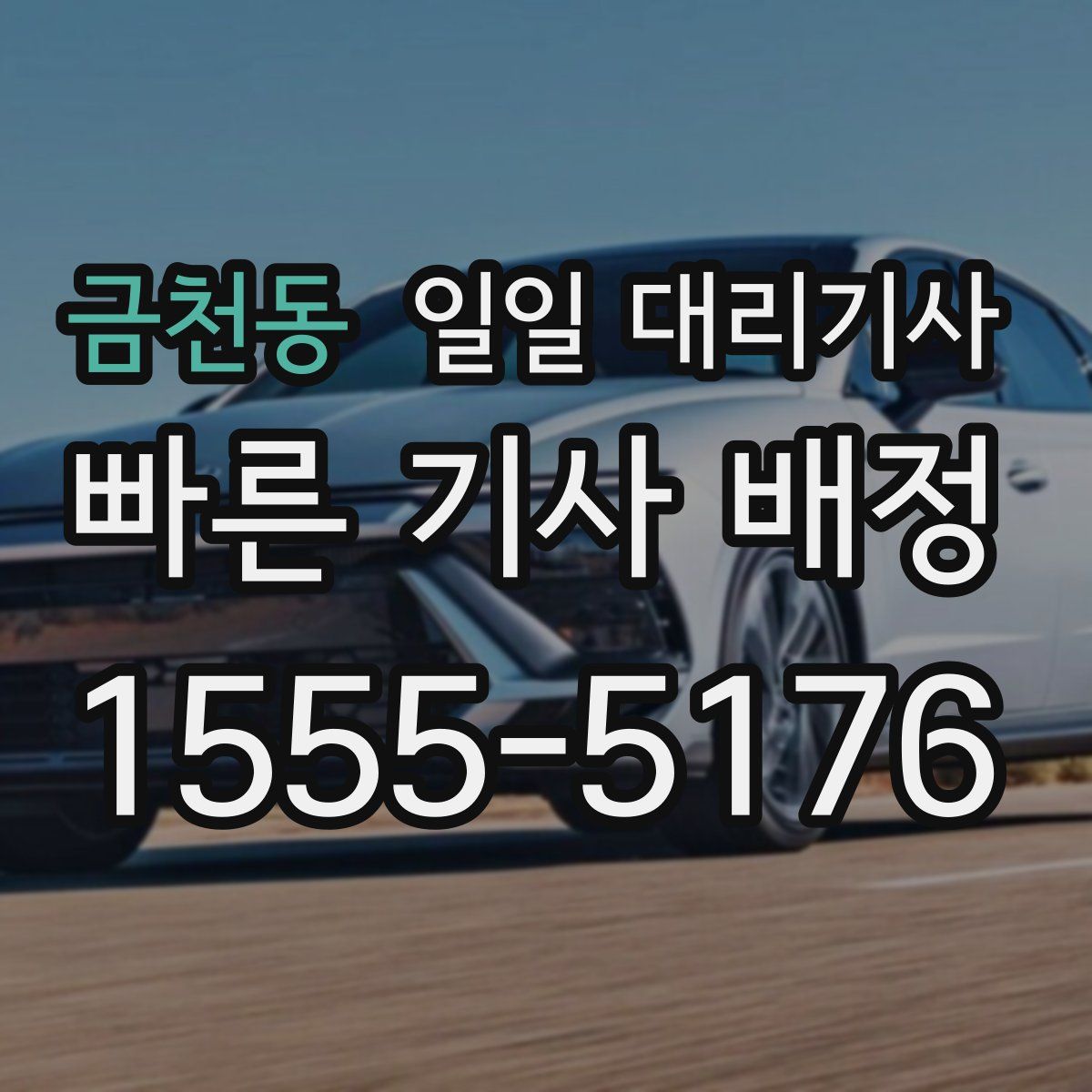 금천동 일일 대리기사