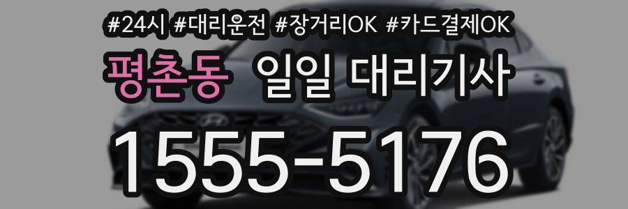 평촌동 일일 대리기사
