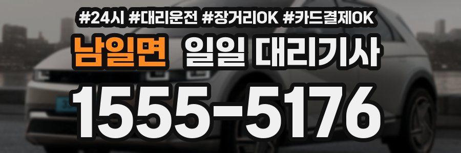 남일면 일일 대리기사
