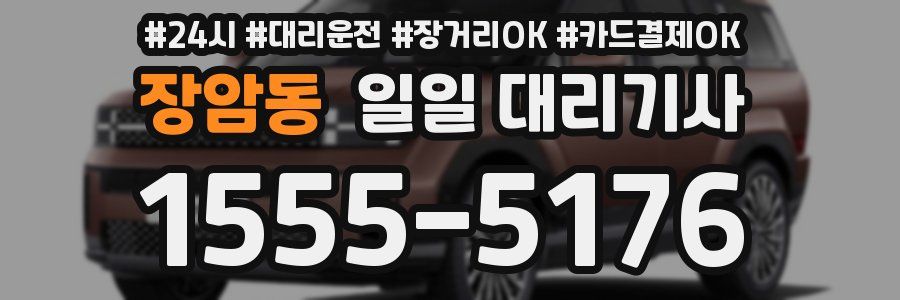 장암동 일일 대리기사