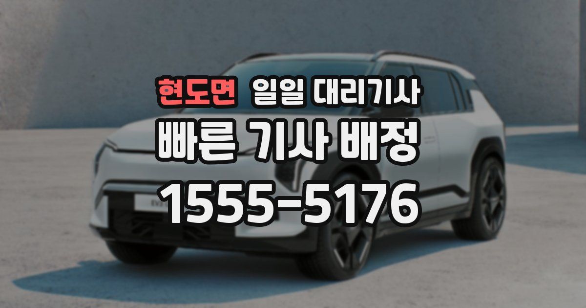 현도면 일일 대리기사