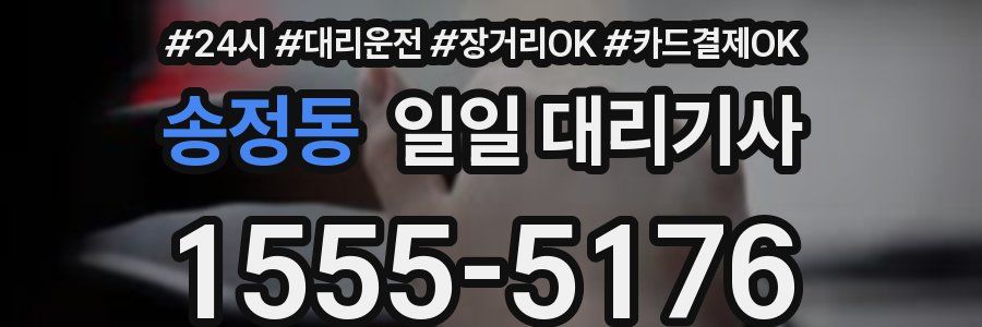 송정동 일일 대리기사