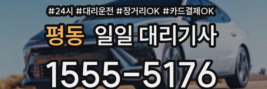 평동 일일 대리기사