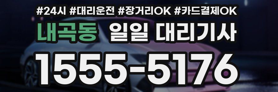 내곡동 일일 대리기사