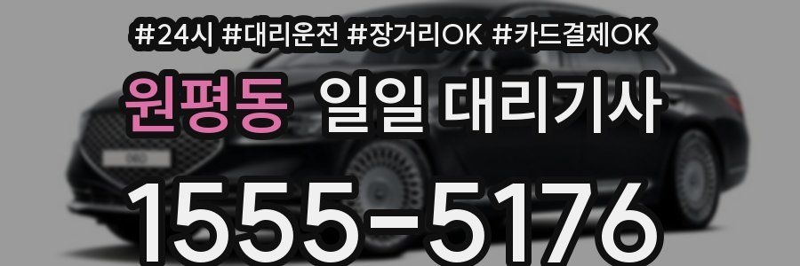 원평동 일일 대리기사