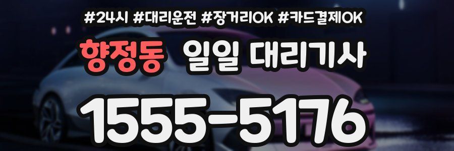 향정동 일일 대리기사