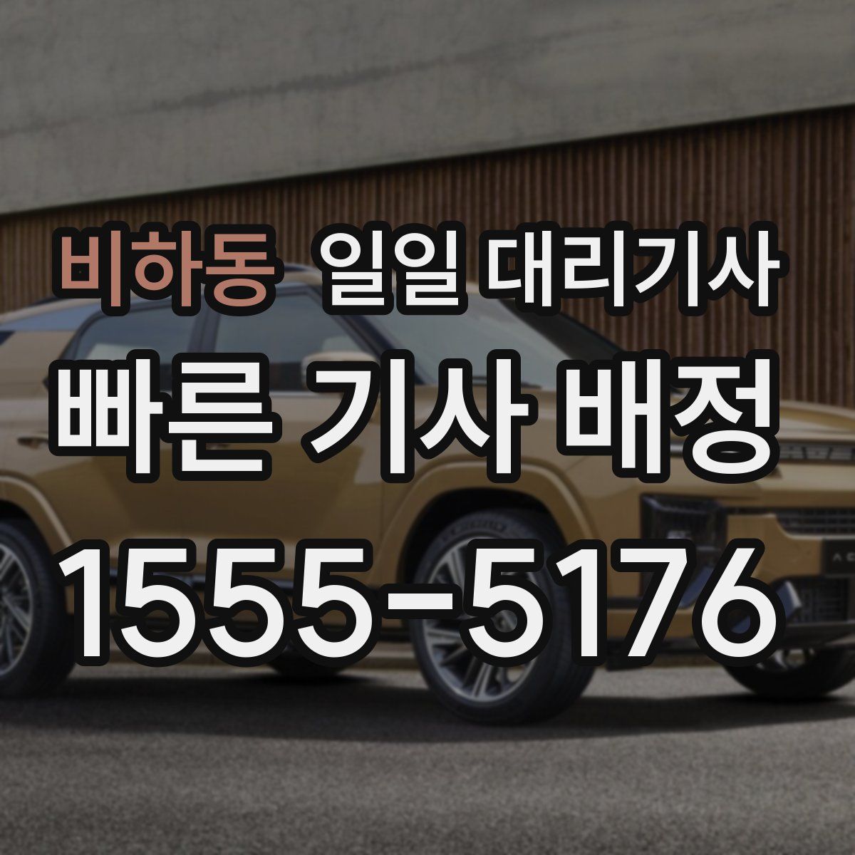 비하동 일일 대리기사