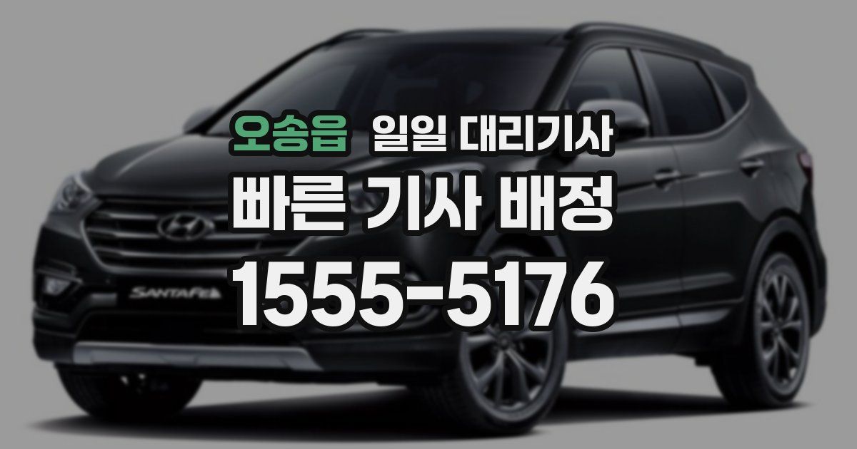 오송읍 일일 대리기사
