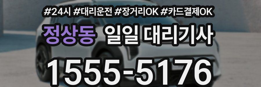 정상동 일일 대리기사