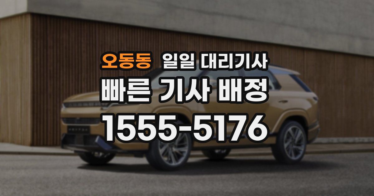 오동동 일일 대리기사