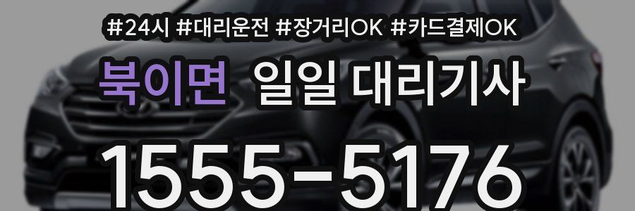 북이면 일일 대리기사