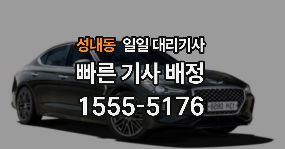성내동 일일 대리기사