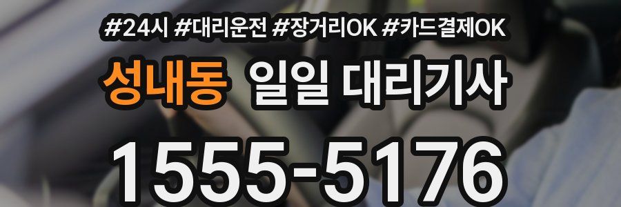 성내동 일일 대리기사