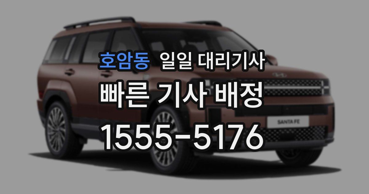 호암동 일일 대리기사