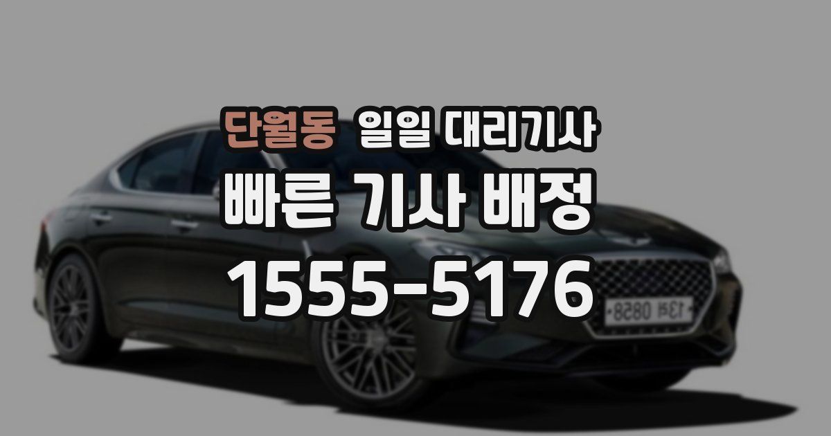 단월동 일일 대리기사