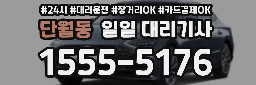 단월동 일일 대리기사