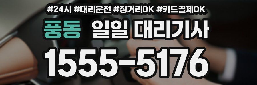 풍동 일일 대리기사