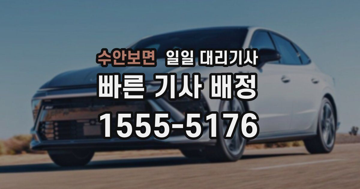 수안보면 일일 대리기사