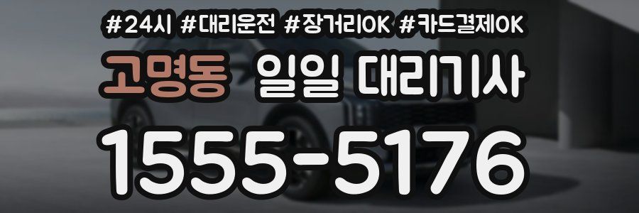 고명동 일일 대리기사