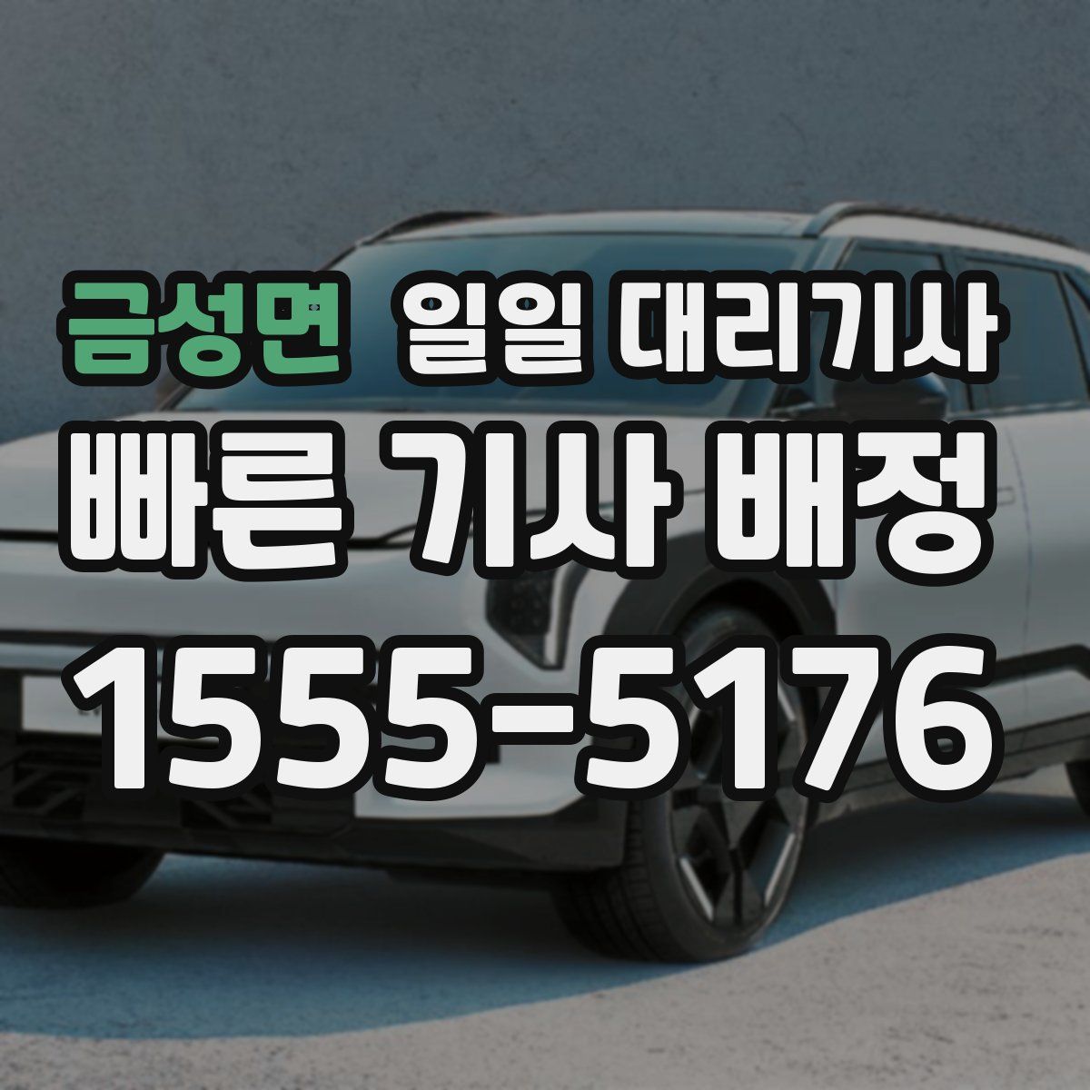 금성면 일일 대리기사
