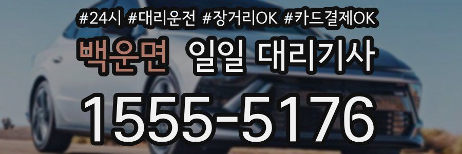 백운면 일일 대리기사