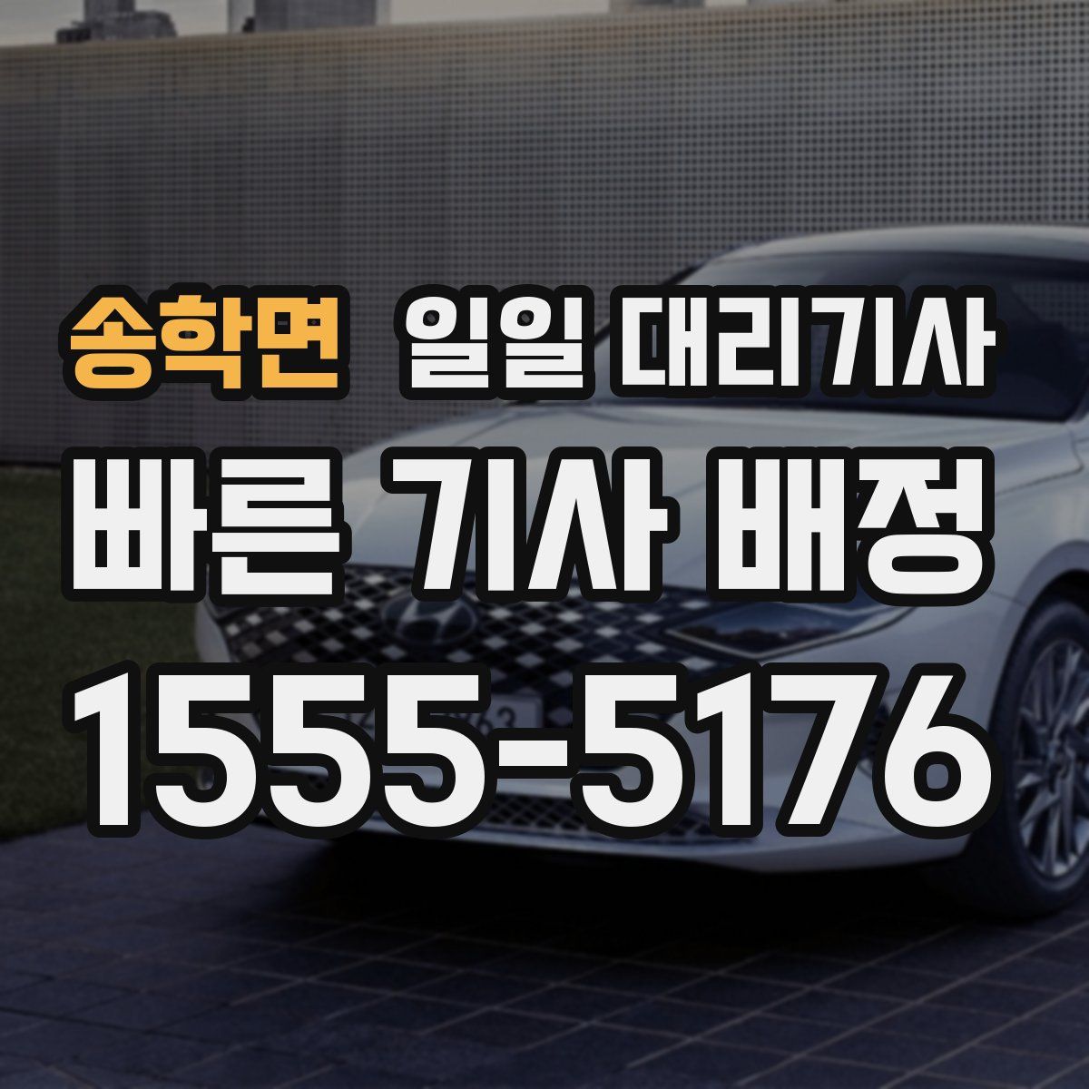 송학면 일일 대리기사