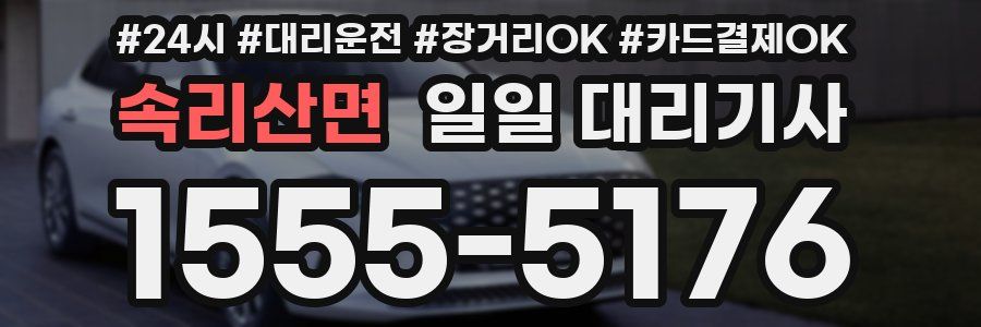 속리산면 일일 대리기사