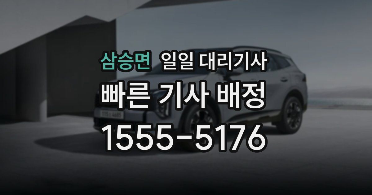 삼승면 일일 대리기사
