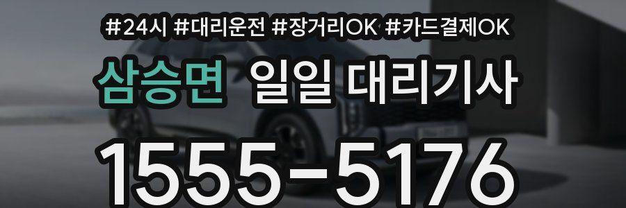 삼승면 일일 대리기사