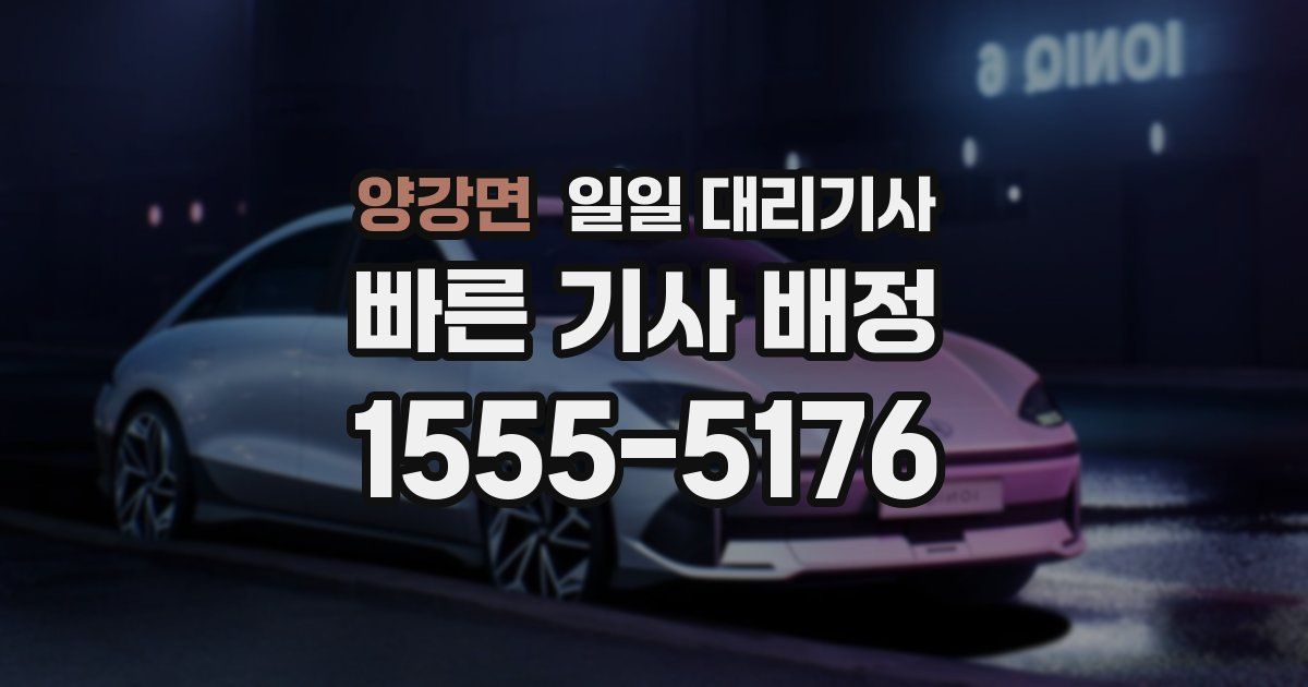양강면 일일 대리기사