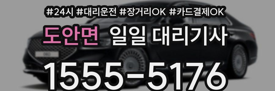도안면 일일 대리기사