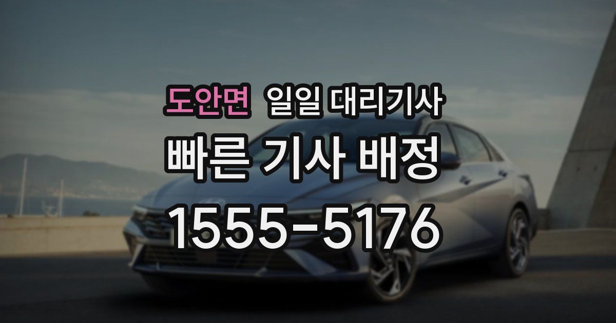 도안면 일일 대리기사