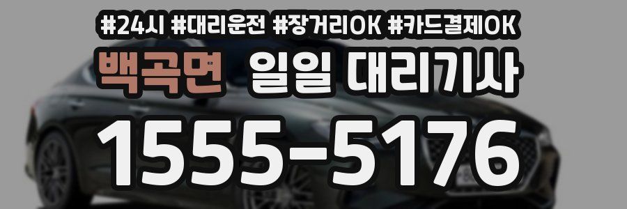 백곡면 일일 대리기사