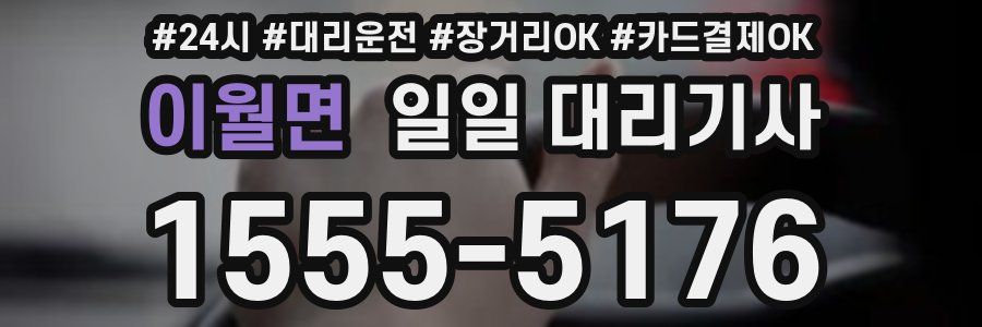 이월면 일일 대리기사