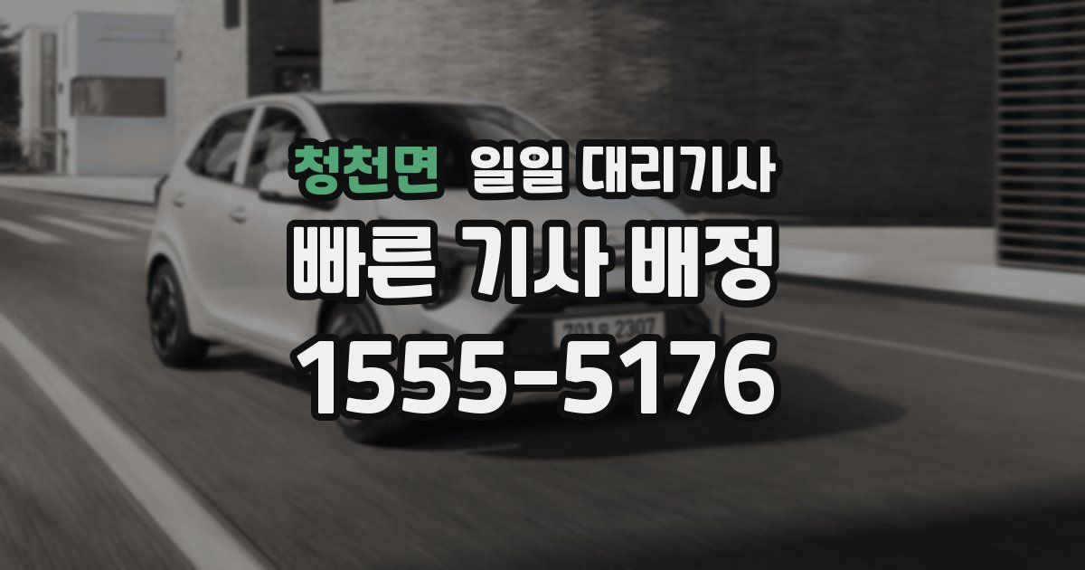 청천면 일일 대리기사