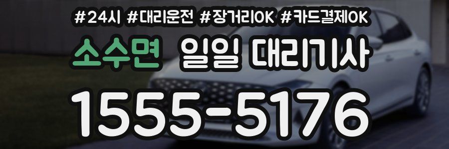 소수면 일일 대리기사