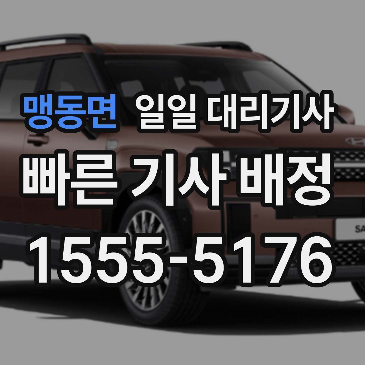 맹동면 일일 대리기사