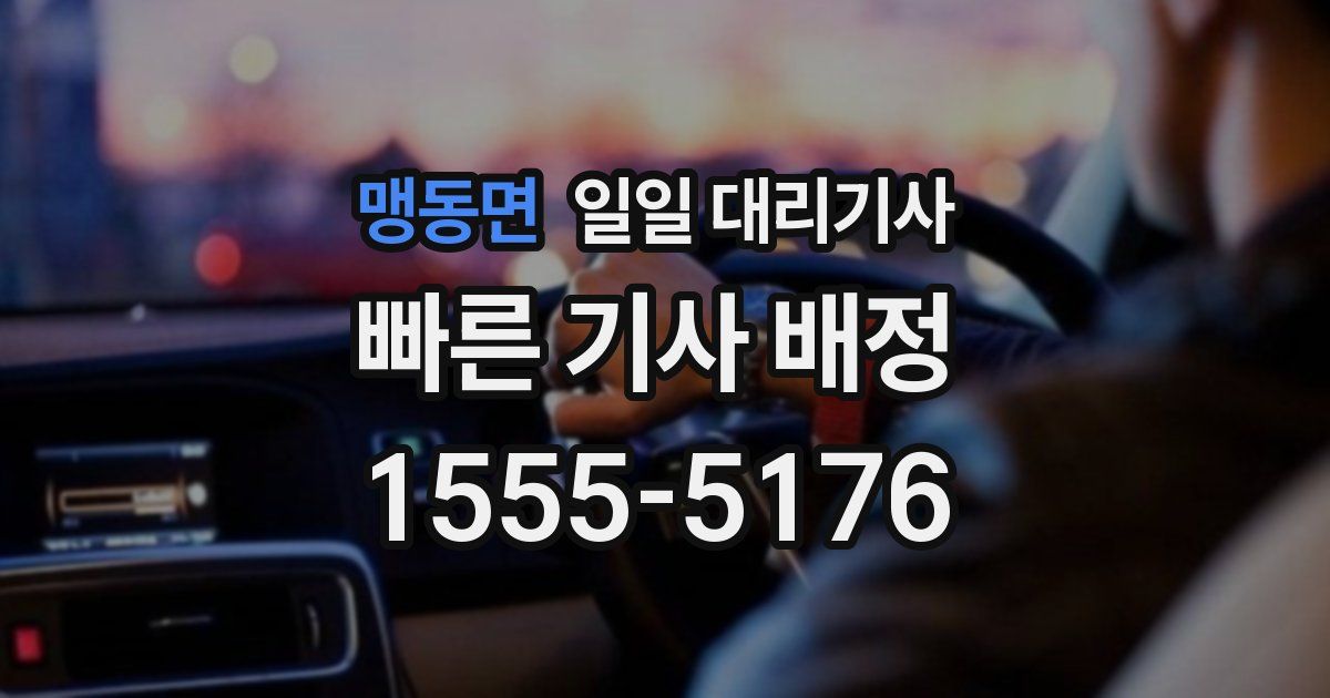맹동면 일일 대리기사
