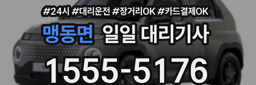 맹동면 일일 대리기사