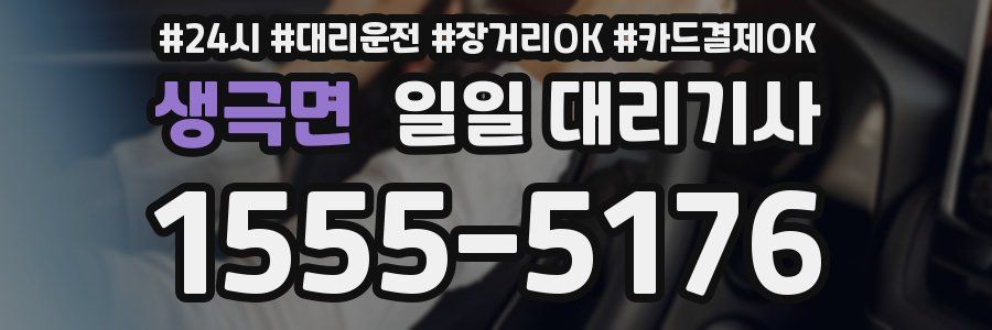생극면 일일 대리기사
